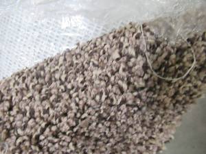 lot 603 image: Cut Roll of Apprx. 12 ft. x 14.5 ft. Speckled Brown Very Low-Pile Carpet 2140430