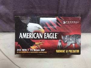 American Eagle 243 WIN 75 Gr JHP
