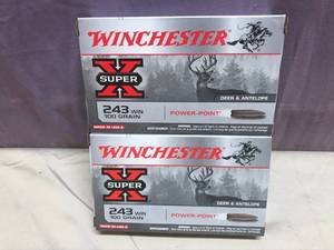 2 Boxes 243 WIN 100 Gr Power-Point