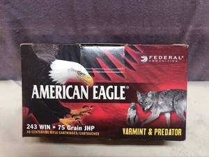 American Eagle 243 WIN 75 Gr JHP