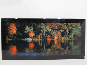 lot 50 image: Large Working Scenic Glass Wall Sign wSound