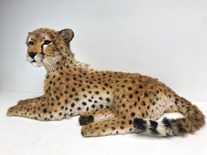 lot 289 image: Large Signed Artist Made Realistic Leopard Cub by Anne Anderson