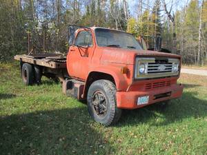 1975 Chevy Scottsdale C65