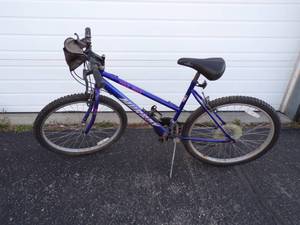 lot 53 image: Murry Back Track 18 Speed Bike