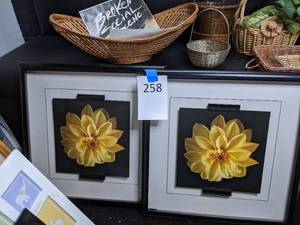 lot 258 image: Pair framed Flower Artwork  (2)