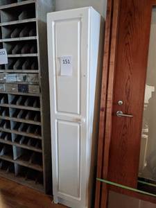 lot 151 image: Tall and Narrow Cupboard