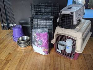 lot 514 image: Doggie Daycare Starter Kit I