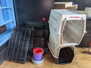 lot 515 image: Doggie Daycare Starter Kit I