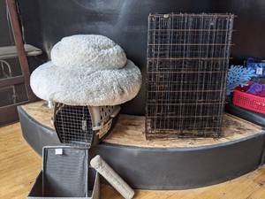 lot 518 image: Doggie Daycare Starter Kit III