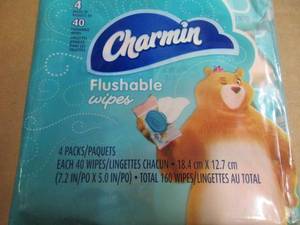 lot 13 image: Charmin Flushable Wipes