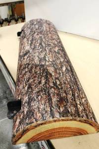 Half Log Bench
