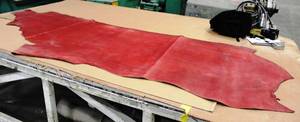 Cow Hide Cognac Brown In Color