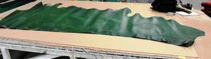 Cow Hide Green In Color
