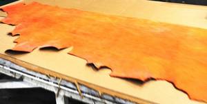 Cow Hide Yellow In Color