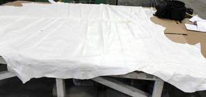 Cow Hide White In Color Smooth