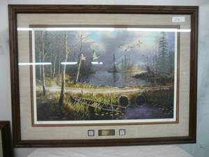 Framed Print