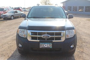 lot 6254 image: 2009 Ford Escape XLT