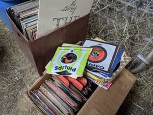 lot 80 image: Lot of Assorted Vinyl Records