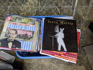 lot 81 image: Lot of Assorted Vinyl Records