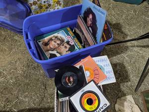 lot 213 image: Lot of Assorted Vinyl Records