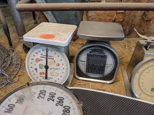 lot 209 image: Assortment of Vintage Scales