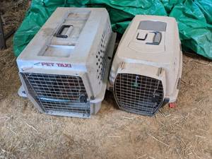 lot 43 image: Petmate Pet Taxi & Kennel Cab...