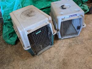 lot 44 image: Remington Pet Carrier & Petmate Pet...