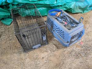 lot 45 image: Small Metal Pet Kennel & Travel Pla...