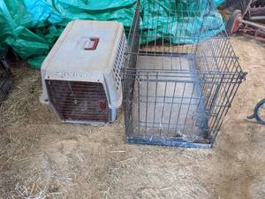 lot 46 image: Large Metal Kennel & Plastic Pet Cr...