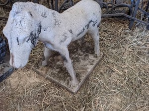 lot 57 image: Horse Statue 22 X 22...
