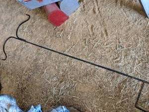 lot 72 image: Large Shepards Hook (79)...
