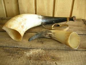 lot 215 image: 2 Steer Horns