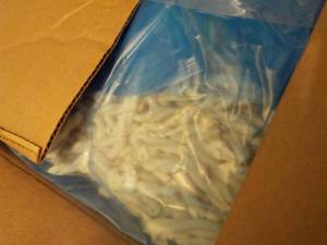 lot 180 image: 25 lb. Box Frozen Gemelli Pasta...