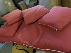 lot 246 image: Patio Cushion and 4 Pillows as is...