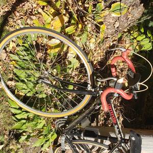 lot 612 image: Cannondale Bike Medium