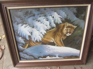 Cougar oil print, framed 31x27...