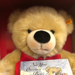 lot 10 image: Steiff Teddy Bear w Storybook