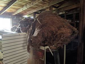 lot 680 image: Large Pile of Insulation