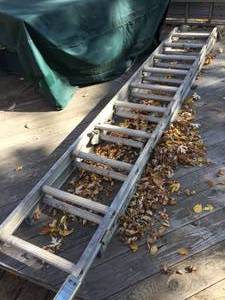 lot 77 image: 20 Foot Extension Ladder