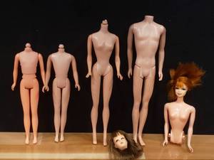lot 53 image: Vintage Barbie & Friends Parts - 1960 Barbie Body, More