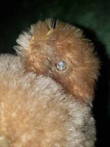 lot 146 image: 8 Steiff Jointed Teddy Bear