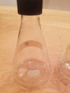 lot 551 image: Set of 5 Pyrex 250 ml Beakers