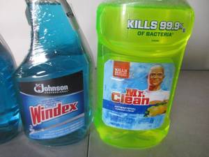Windex and Mr. Cleaner