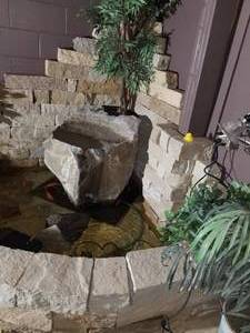 Water Feature