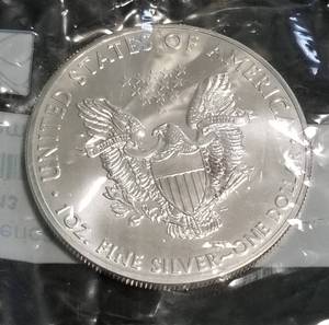 2013 AMERICAN SILVER EAGLE 1 TROY OZ. .999 FINE SILVER DOLLAR