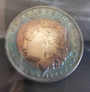 1886 P Morgan Dollar