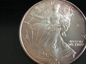 2004 Walking Liberty 1 oz Silver Coin