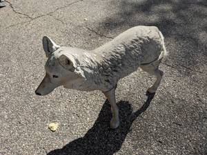 lot 20 image: Coyote Decoy