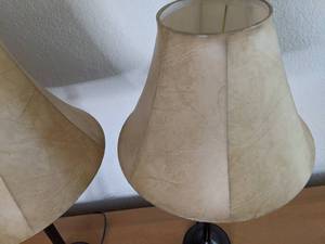 lot 123 image: Pair of Evolution Lighting Table Lamps