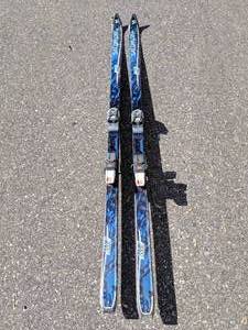 lot 202 image: Salomon Monocoque 9000 Exp Skis